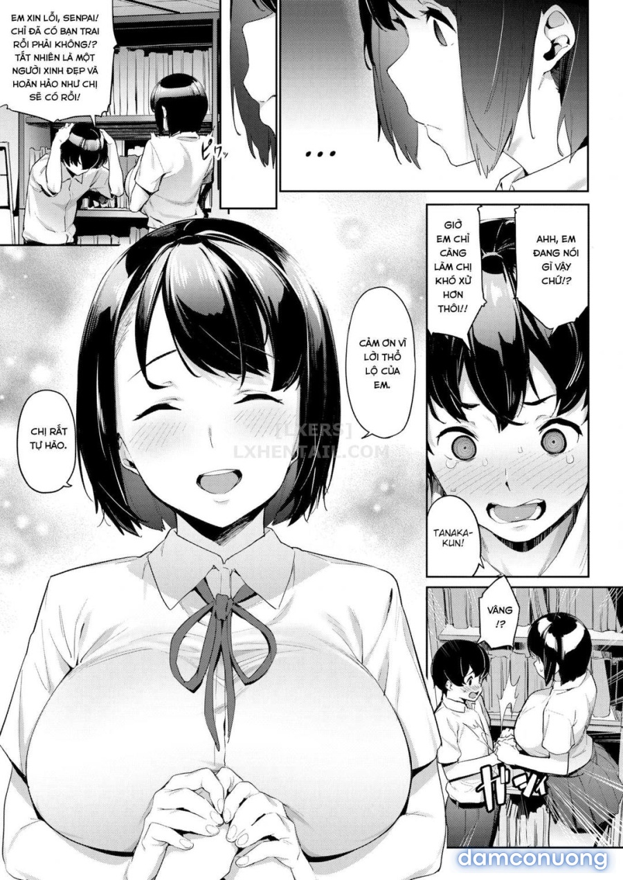 Senpai Yêu Dấu Của Tôi 