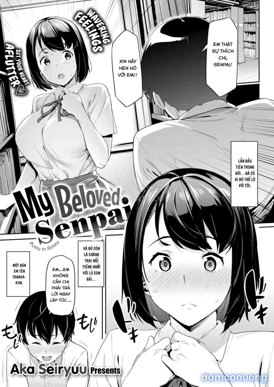Senpai Yêu Dấu Của Tôi 