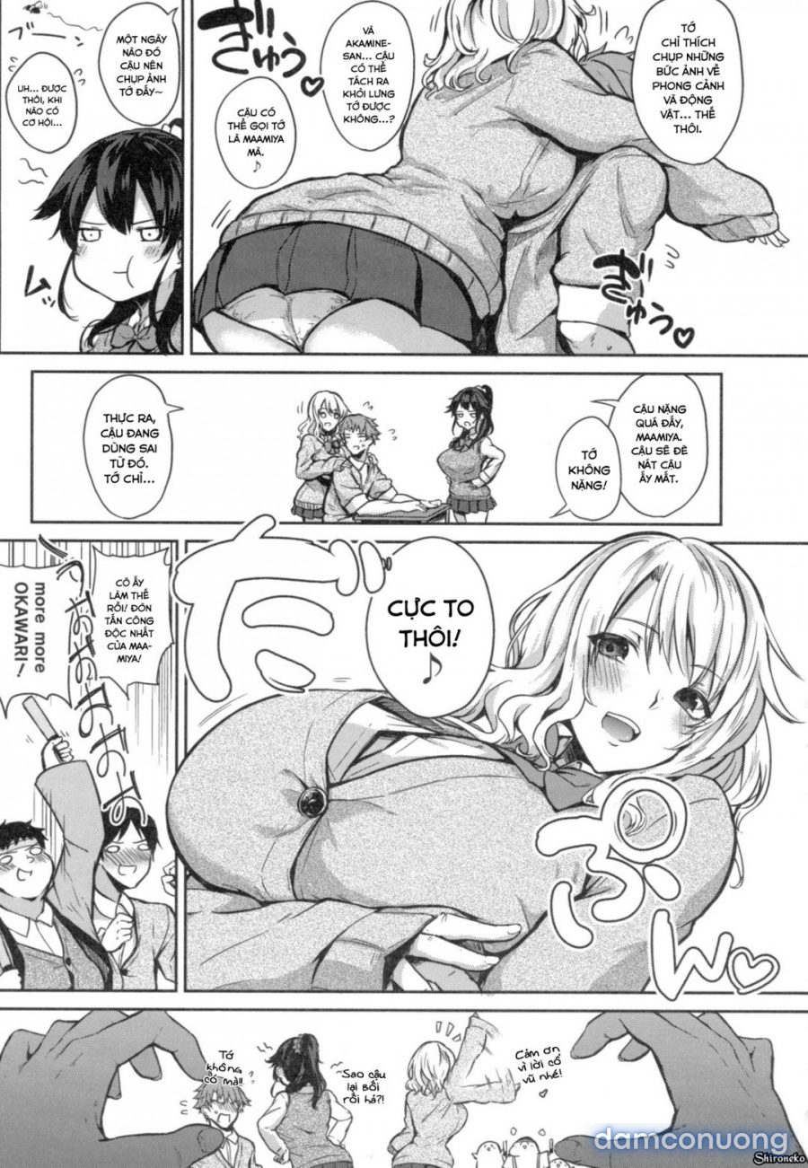 Paizuri 