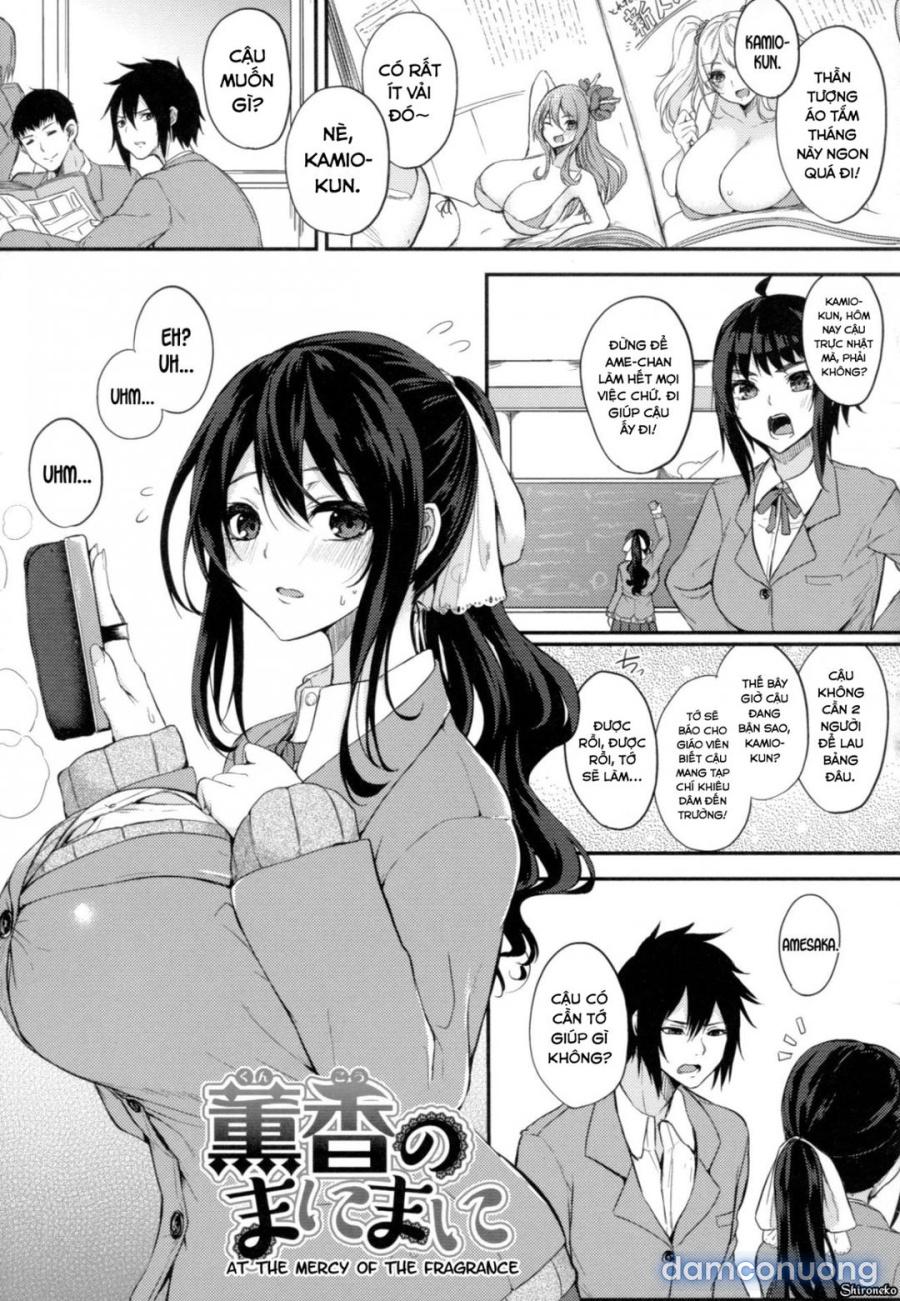 Paizuri 