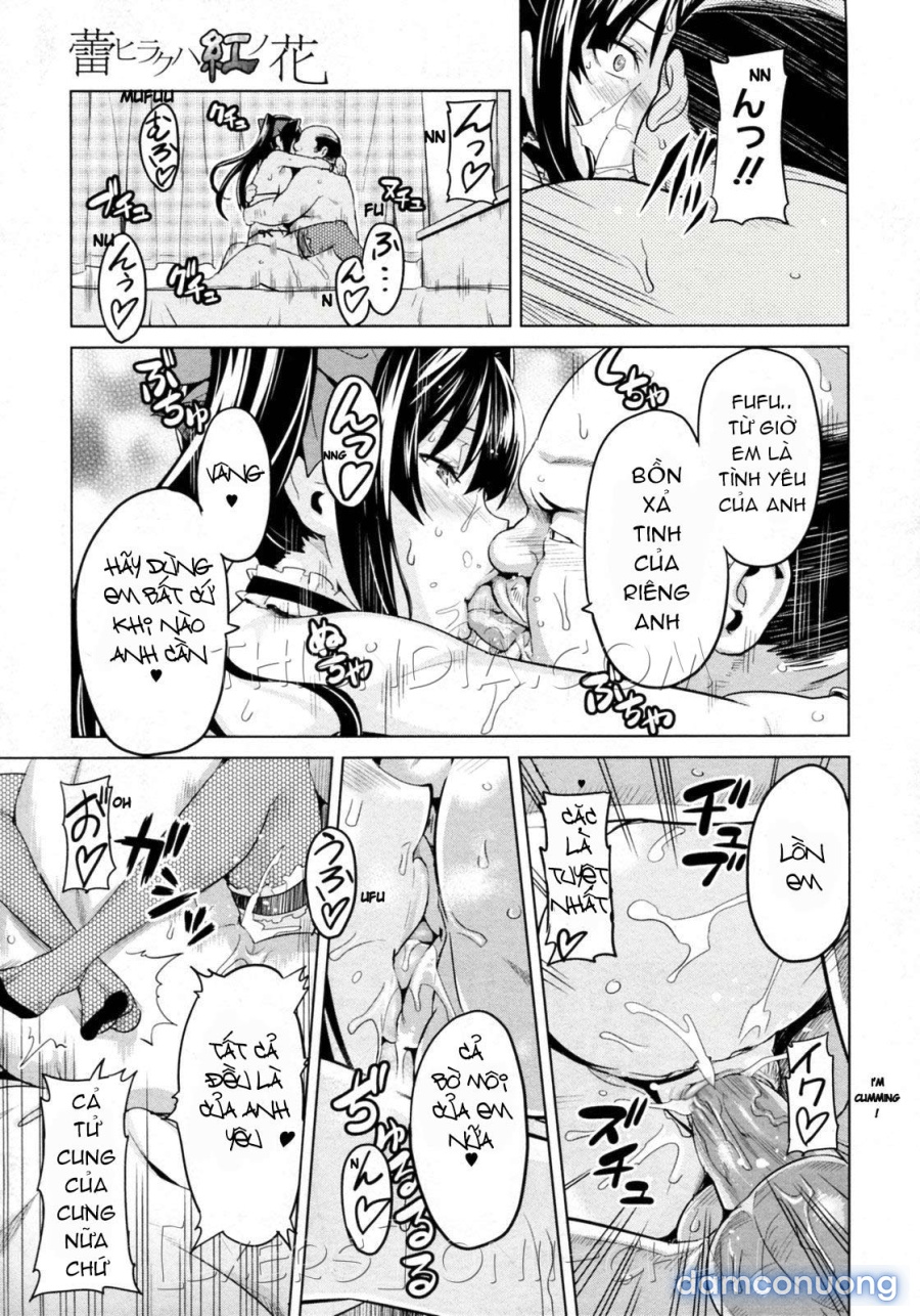 Tsubomi Hiraku wa Beni no Hana 