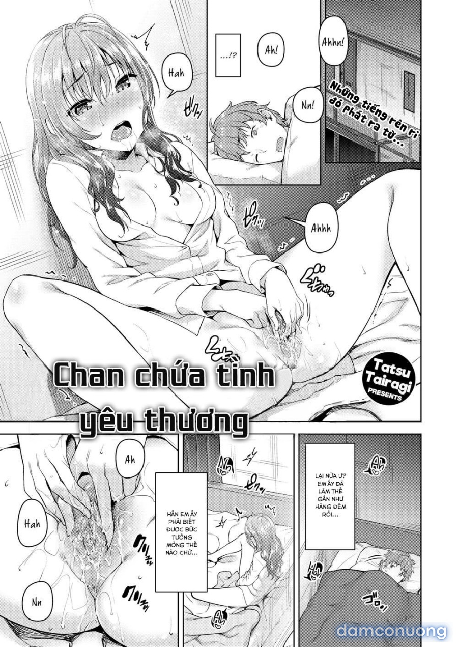 Tràn ngập yêu thương 