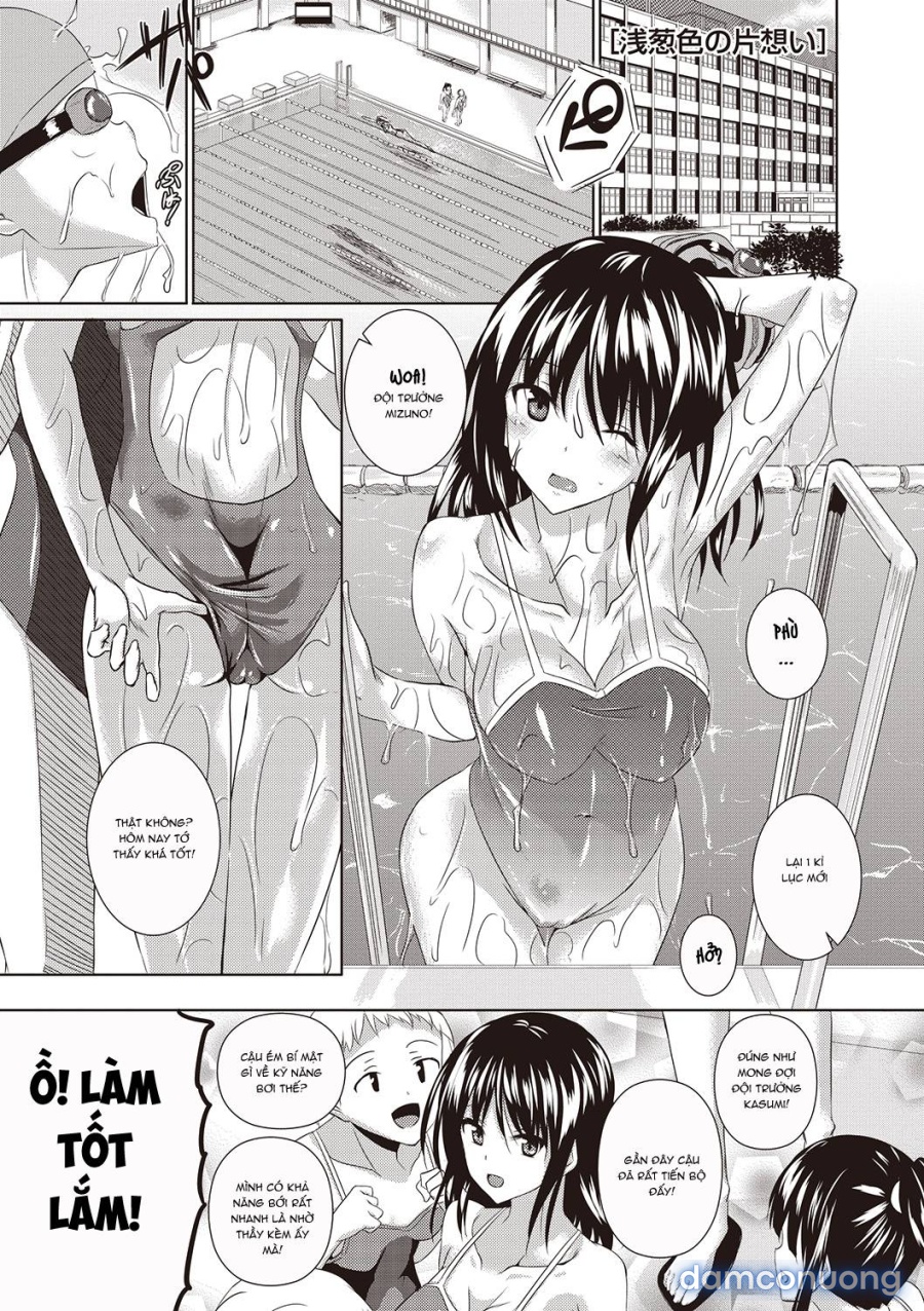 AheColle 