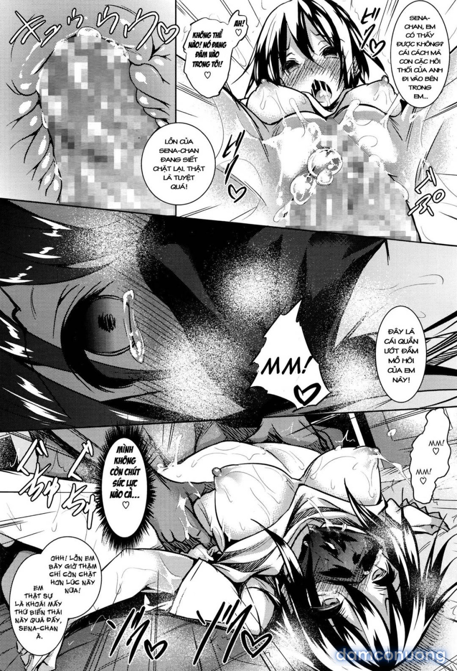 Saint Yurigaoka Jogakuen Seido-kai 