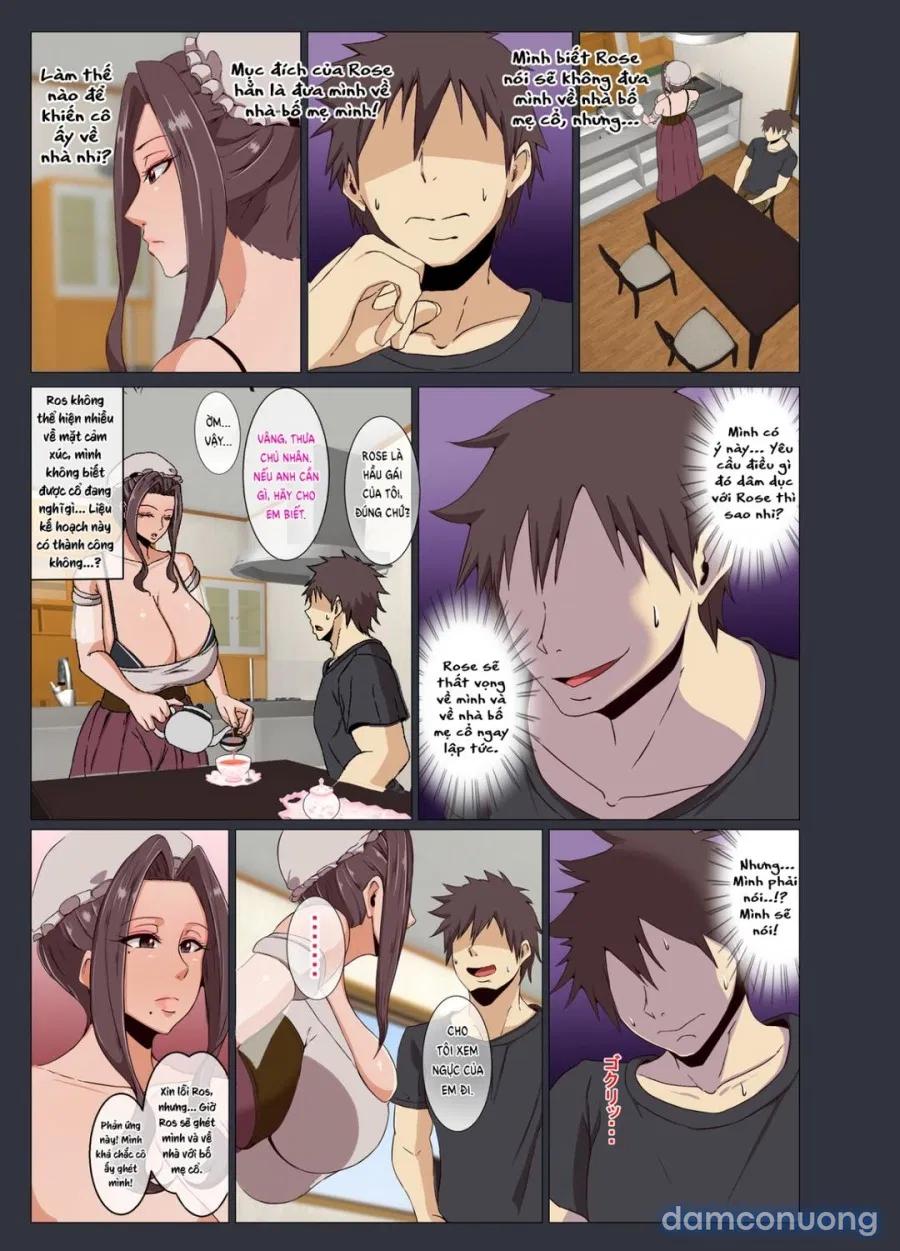 Bakunyu Maid Rose 