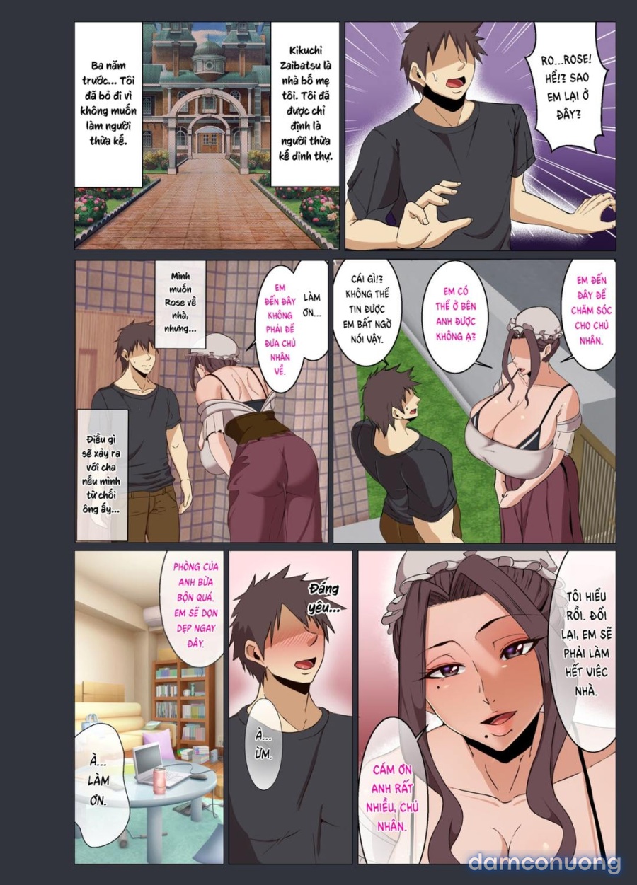Bakunyu Maid Rose 