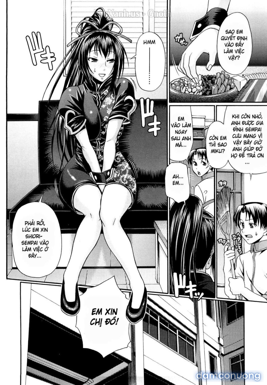 Dress Select 