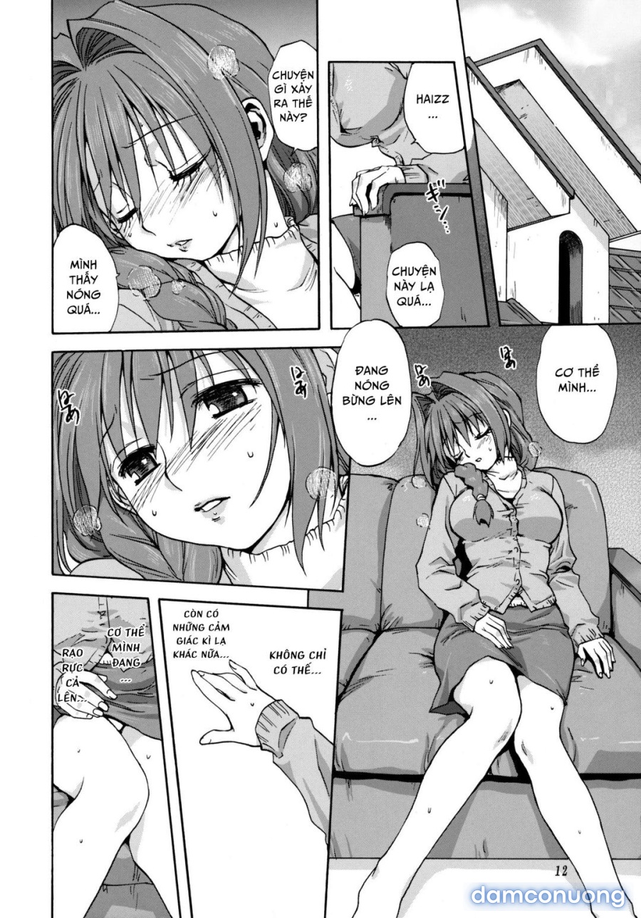 Sống cùng với Akiko-san 