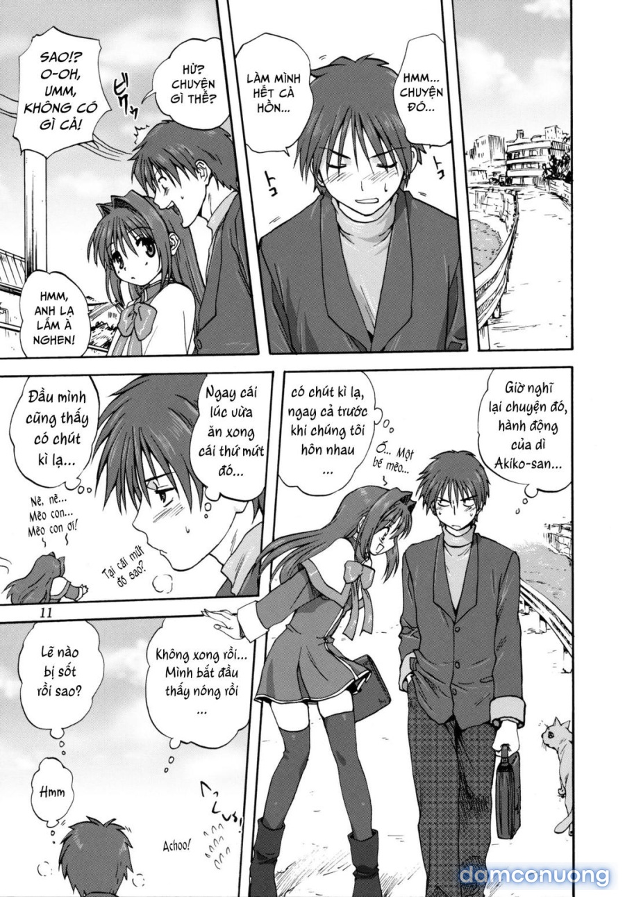 Sống cùng với Akiko-san 