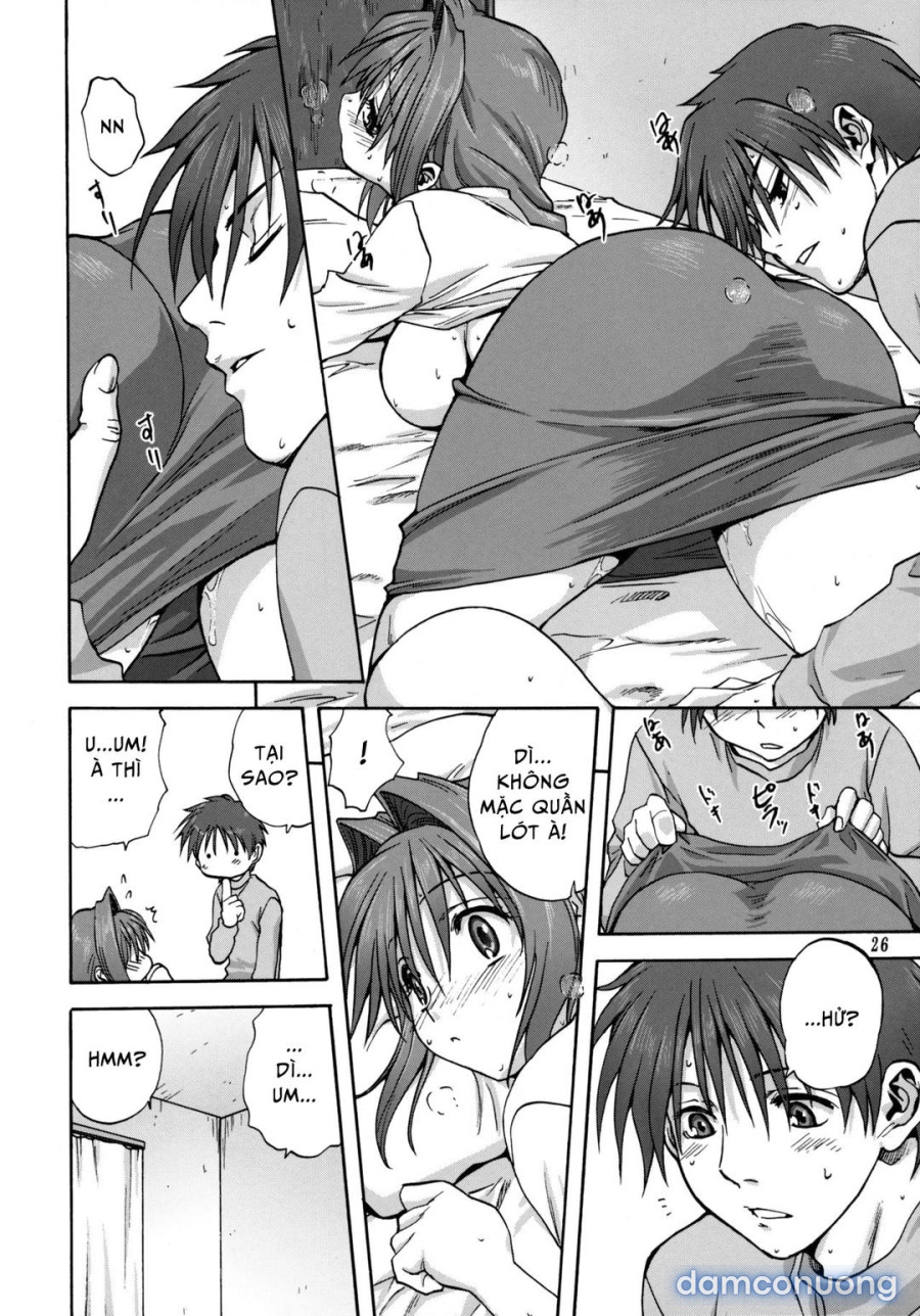 Sống cùng với Akiko-san 