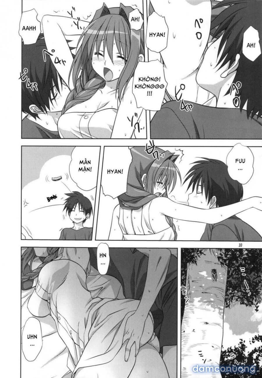 Sống cùng với Akiko-san 