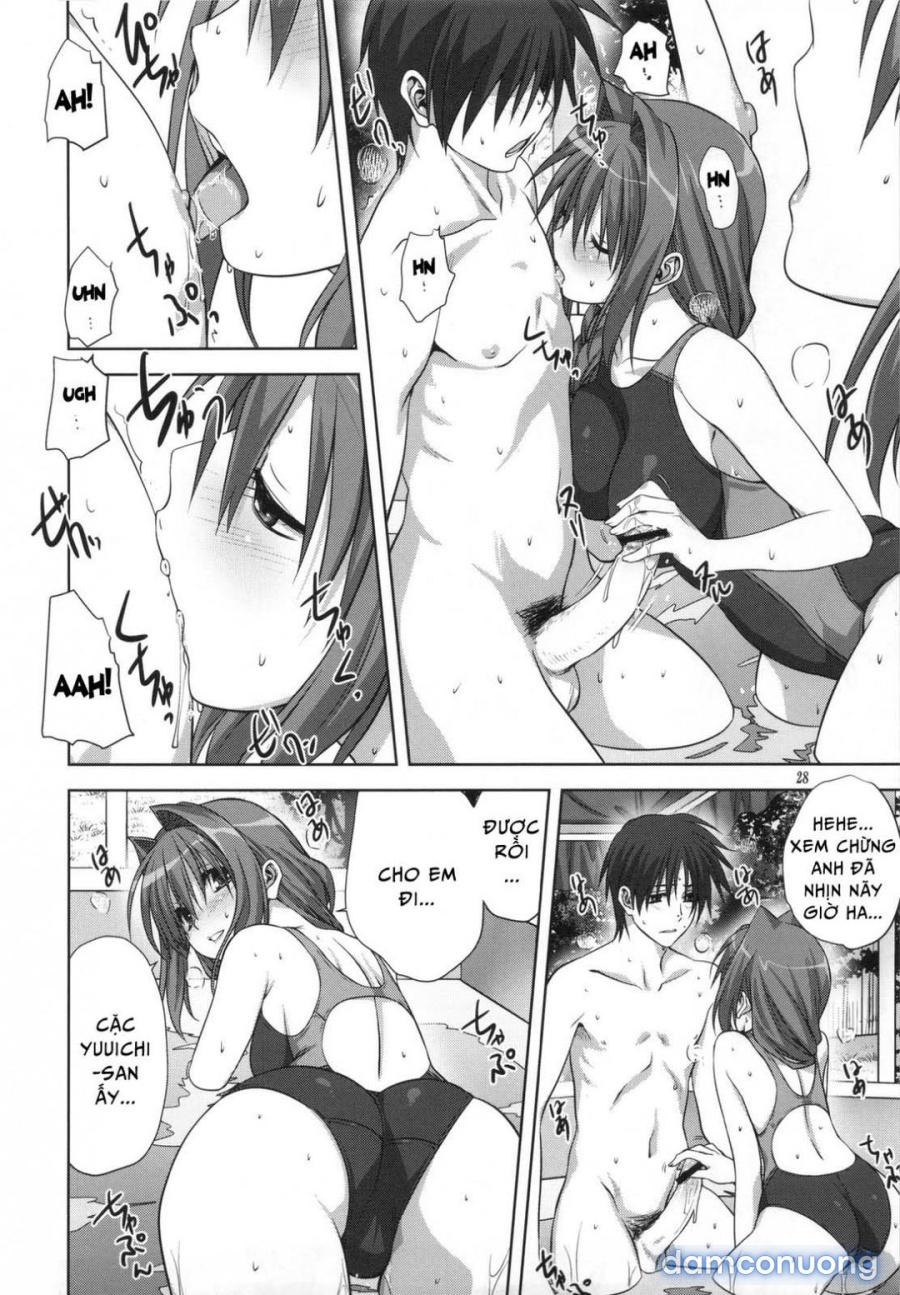 Sống cùng với Akiko-san 