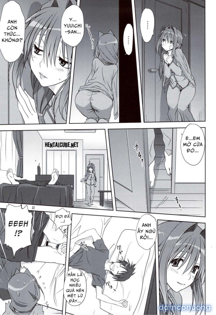 Sống cùng với Akiko-san 