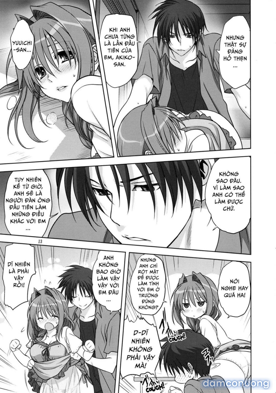Sống cùng với Akiko-san 