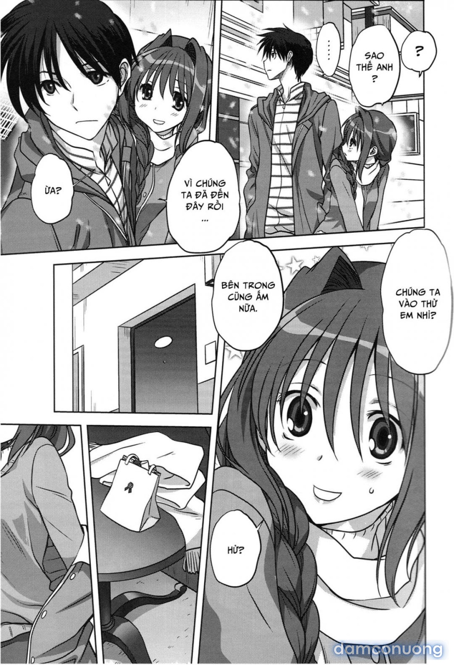 Sống cùng với Akiko-san 