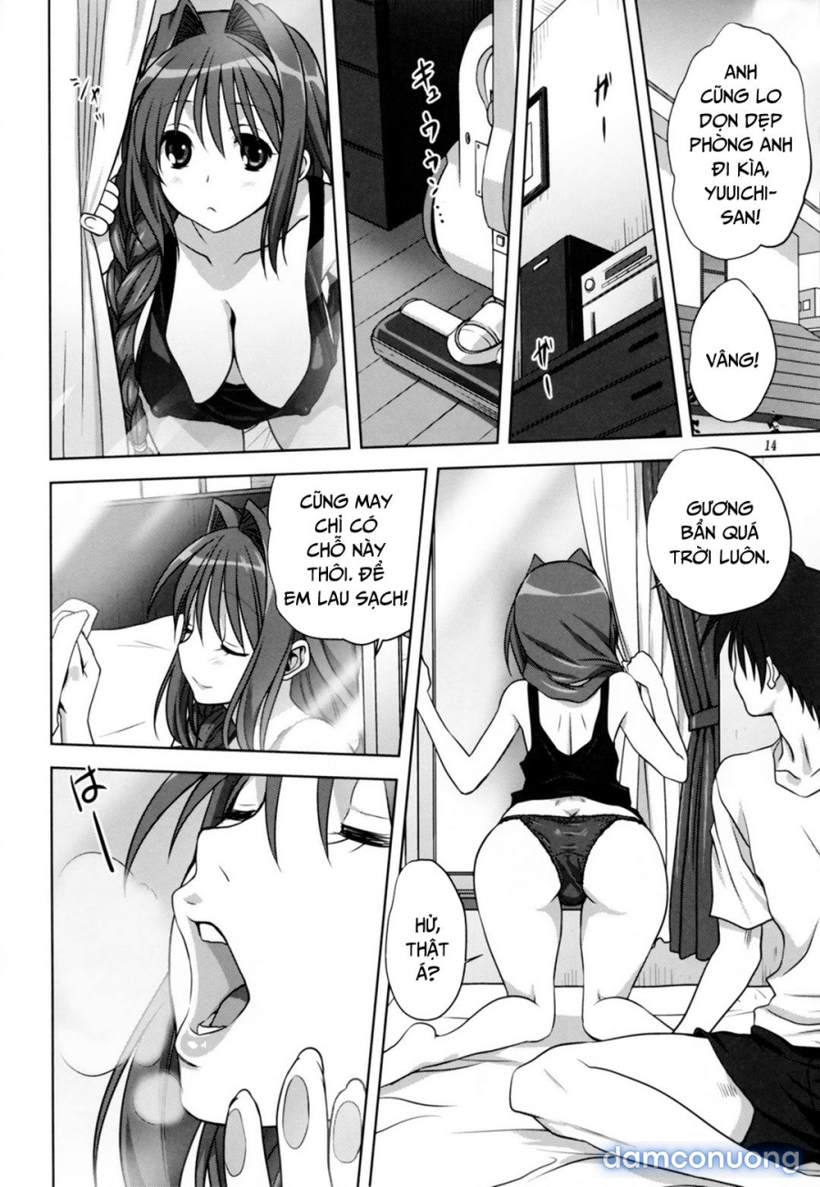 Sống cùng với Akiko-san 