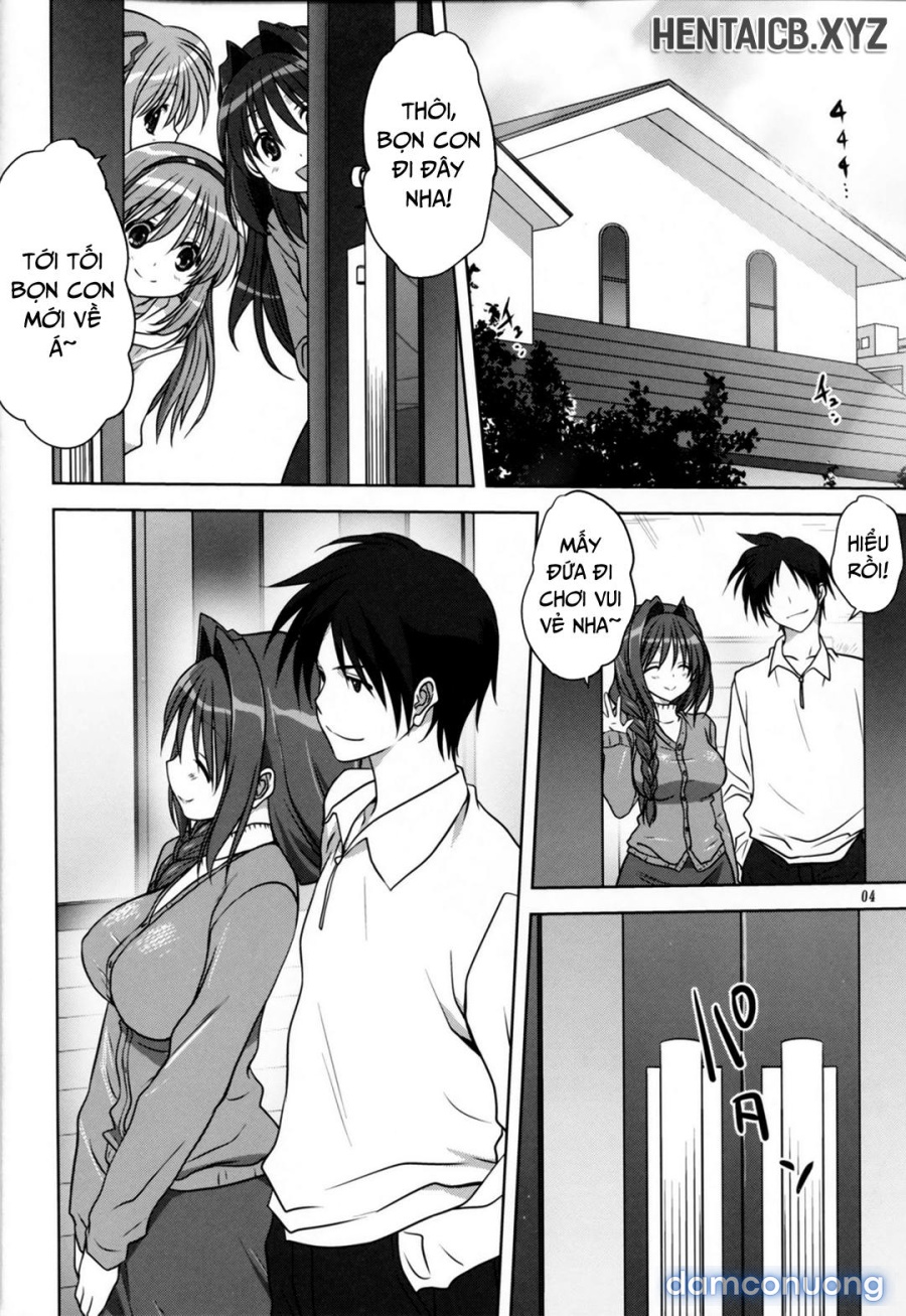 Sống cùng với Akiko-san 