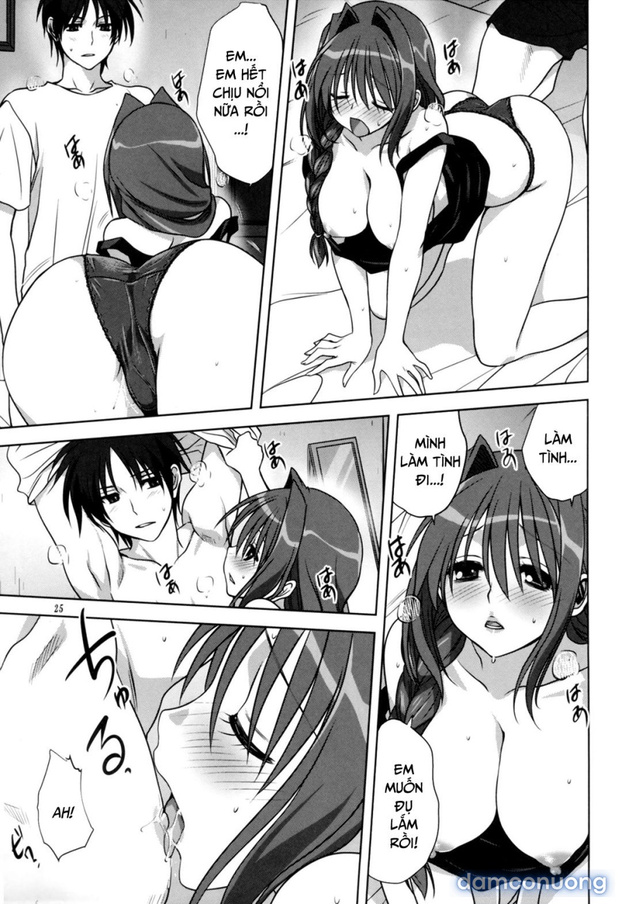 Sống cùng với Akiko-san 