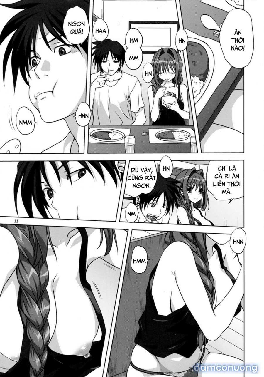 Sống cùng với Akiko-san 
