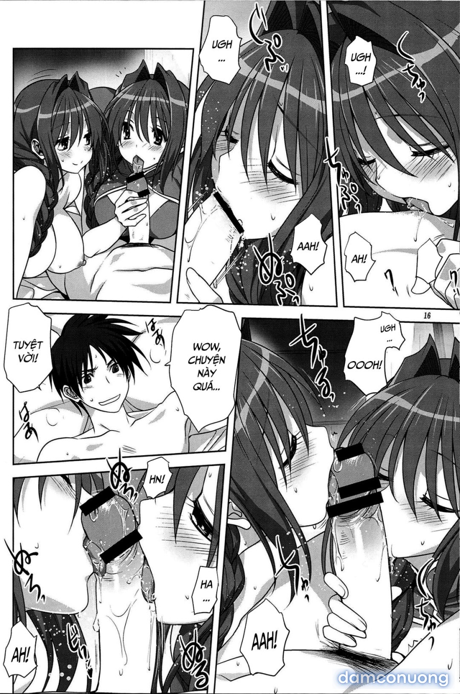 Sống cùng với Akiko-san 