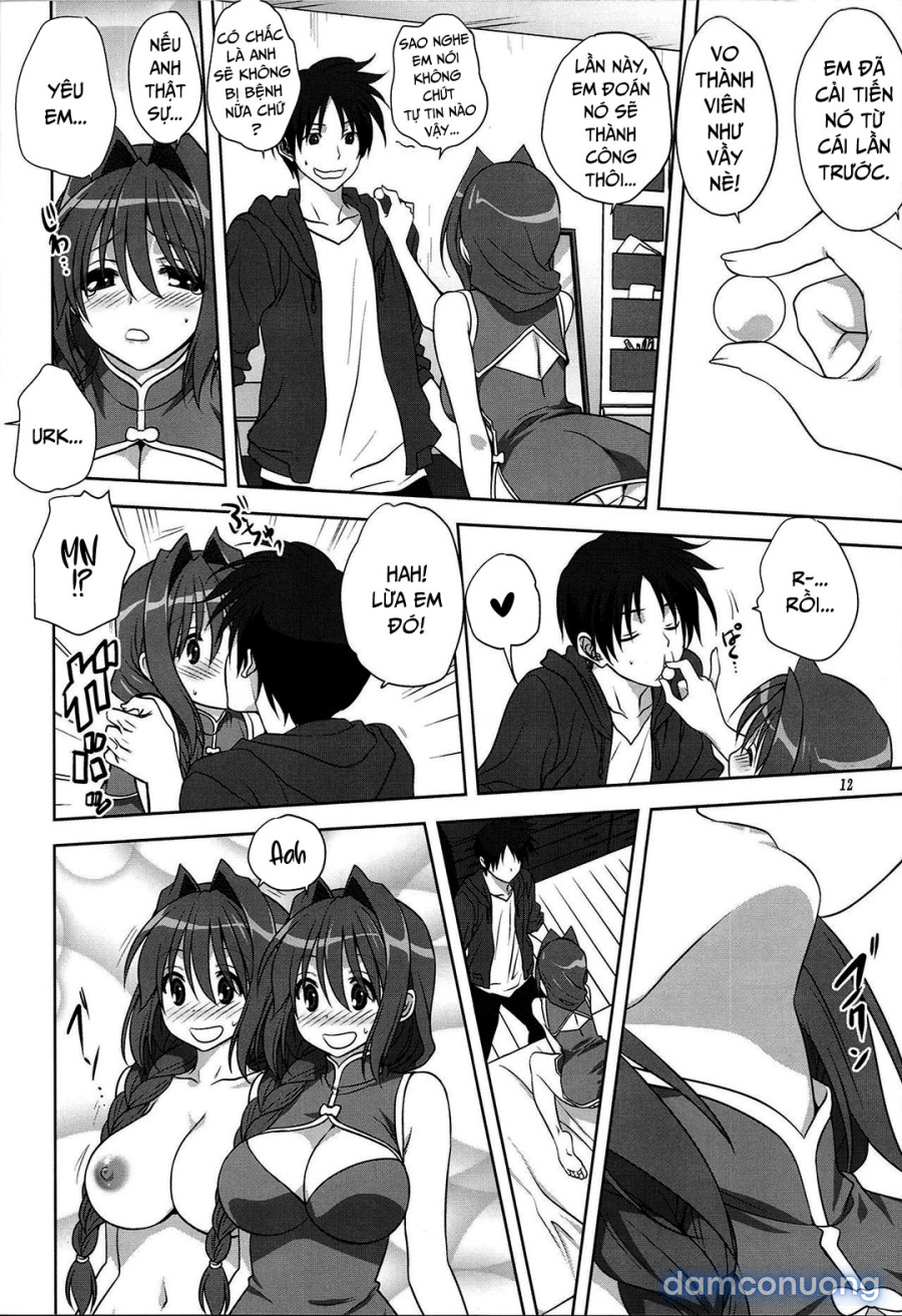 Sống cùng với Akiko-san 