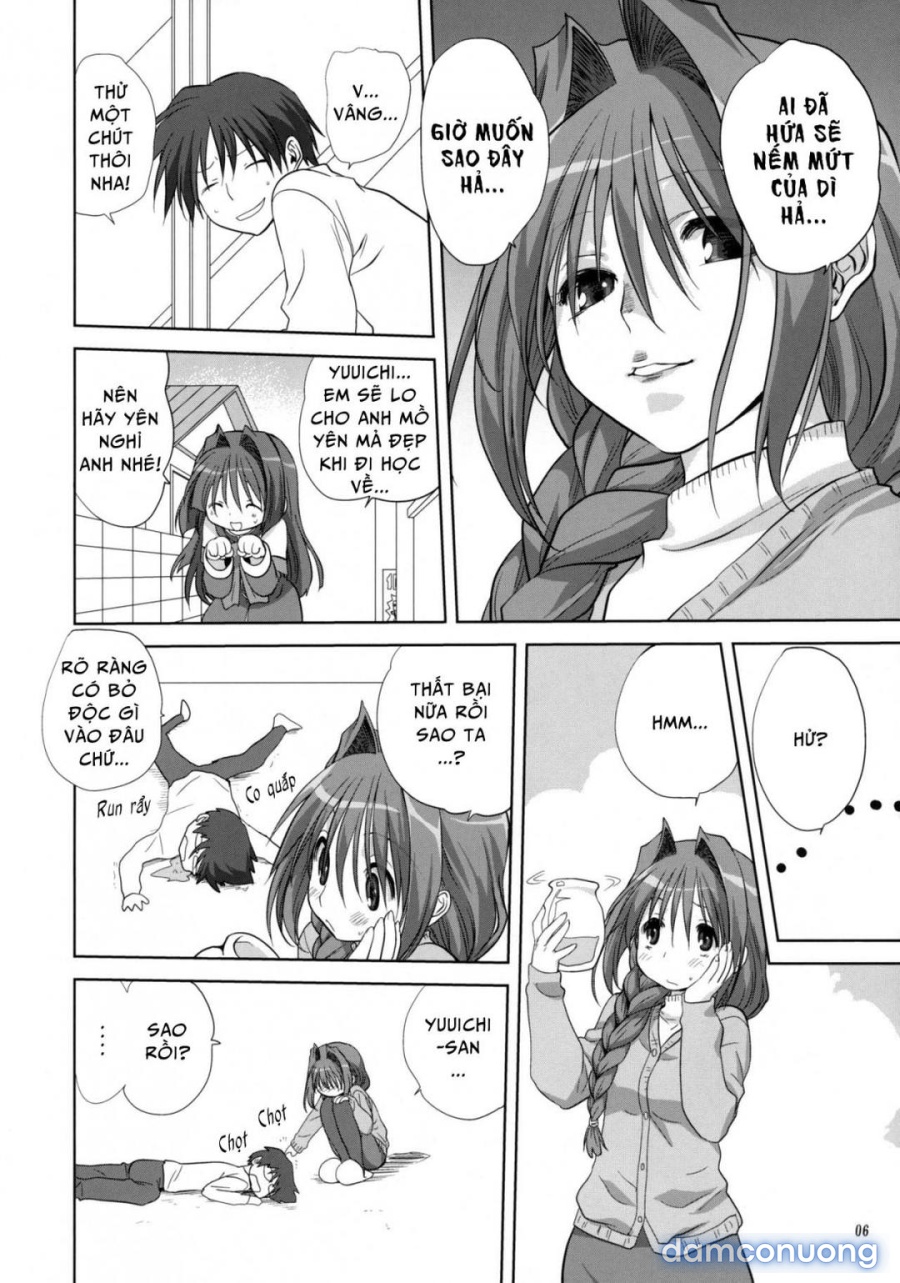 Sống cùng với Akiko-san 