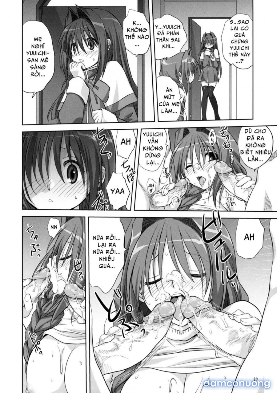 Sống cùng với Akiko-san 