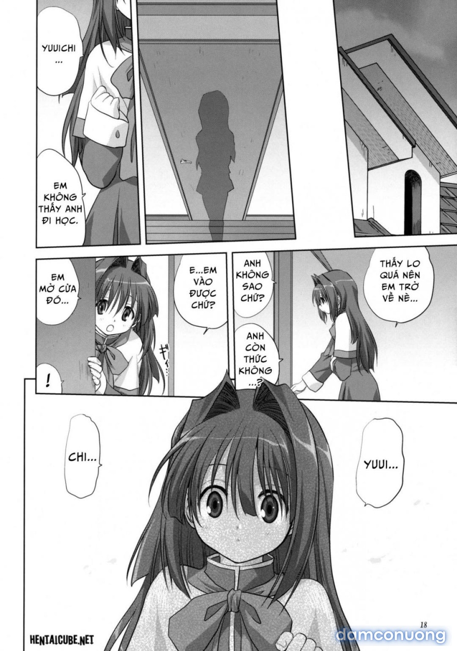 Sống cùng với Akiko-san 