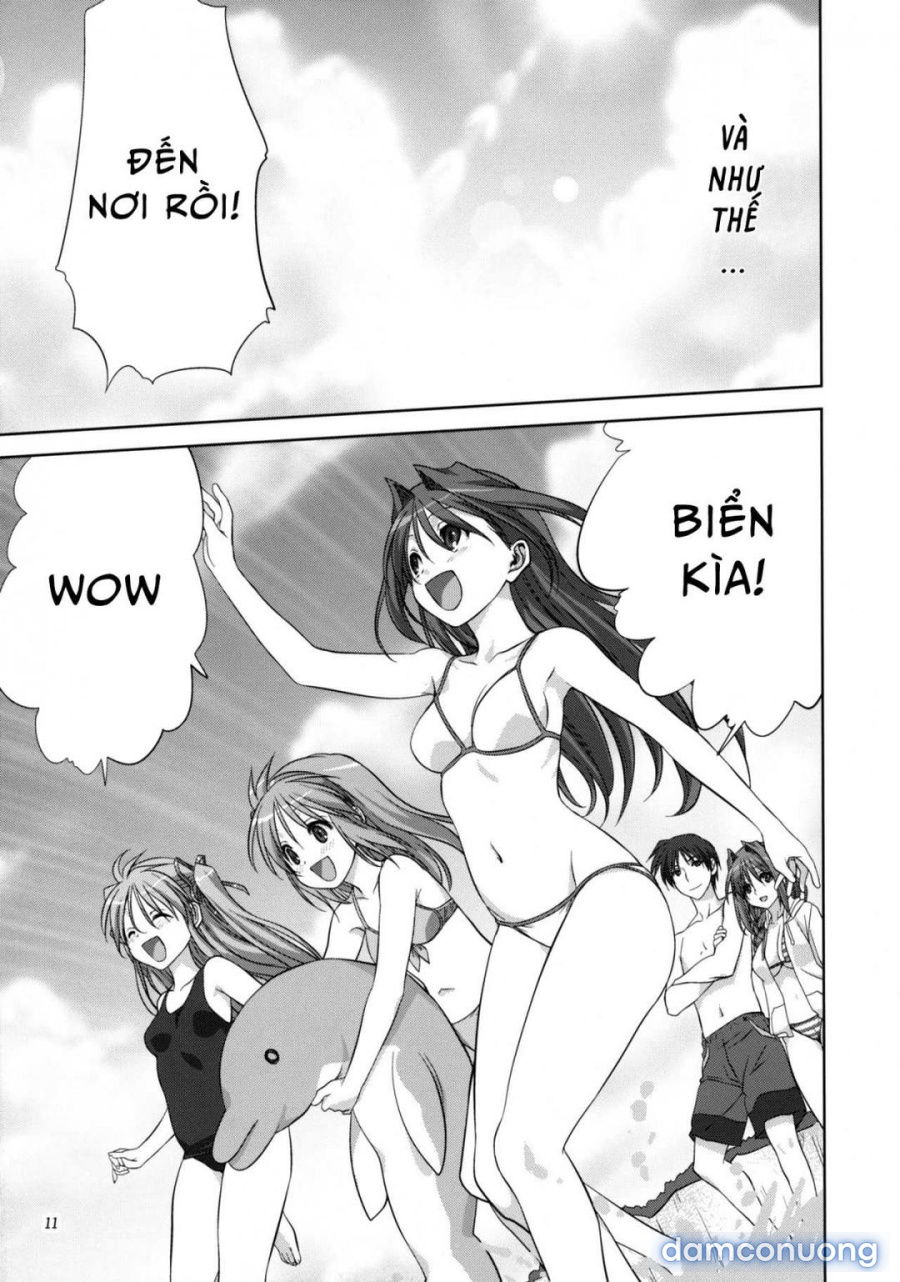 Sống cùng với Akiko-san 