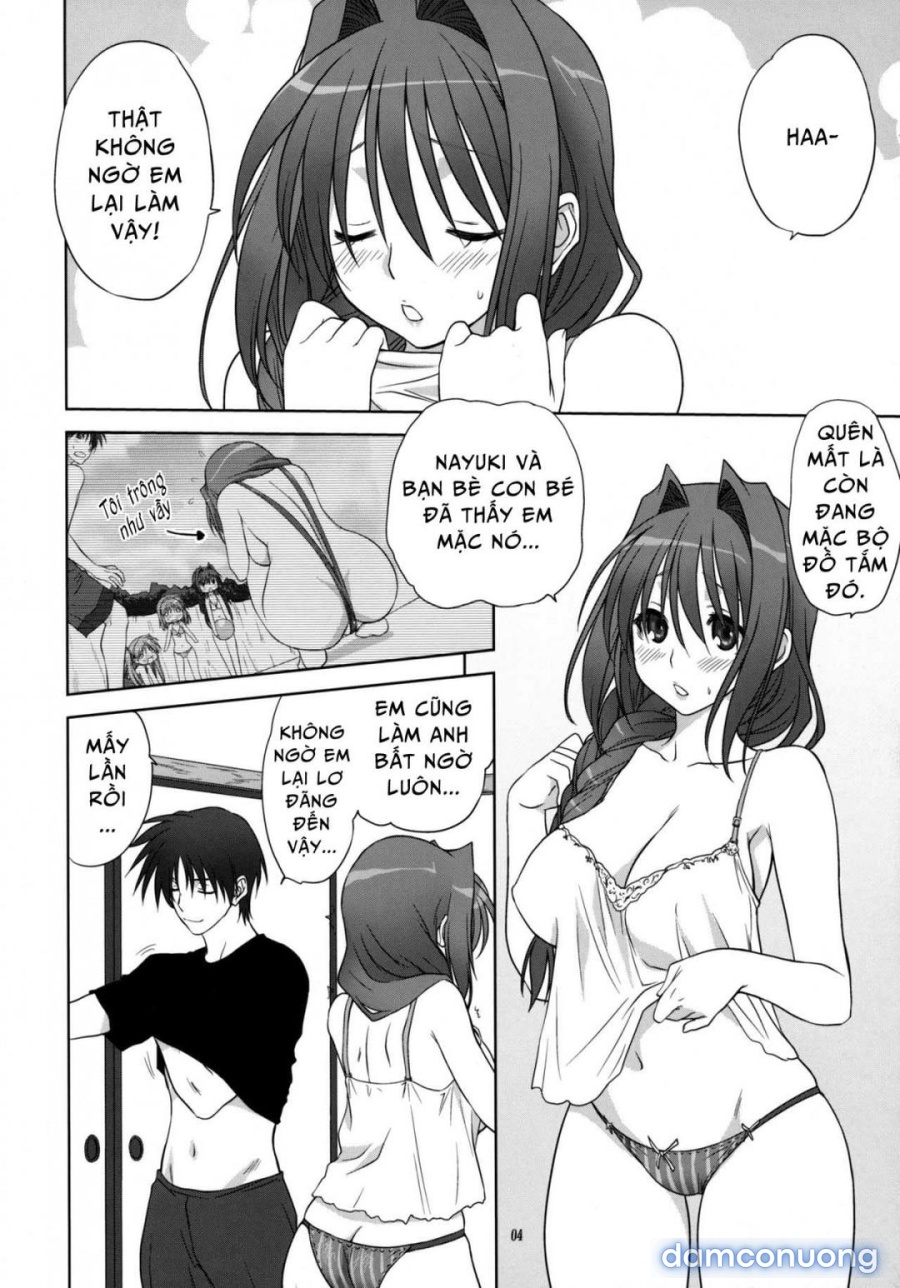 Sống cùng với Akiko-san 