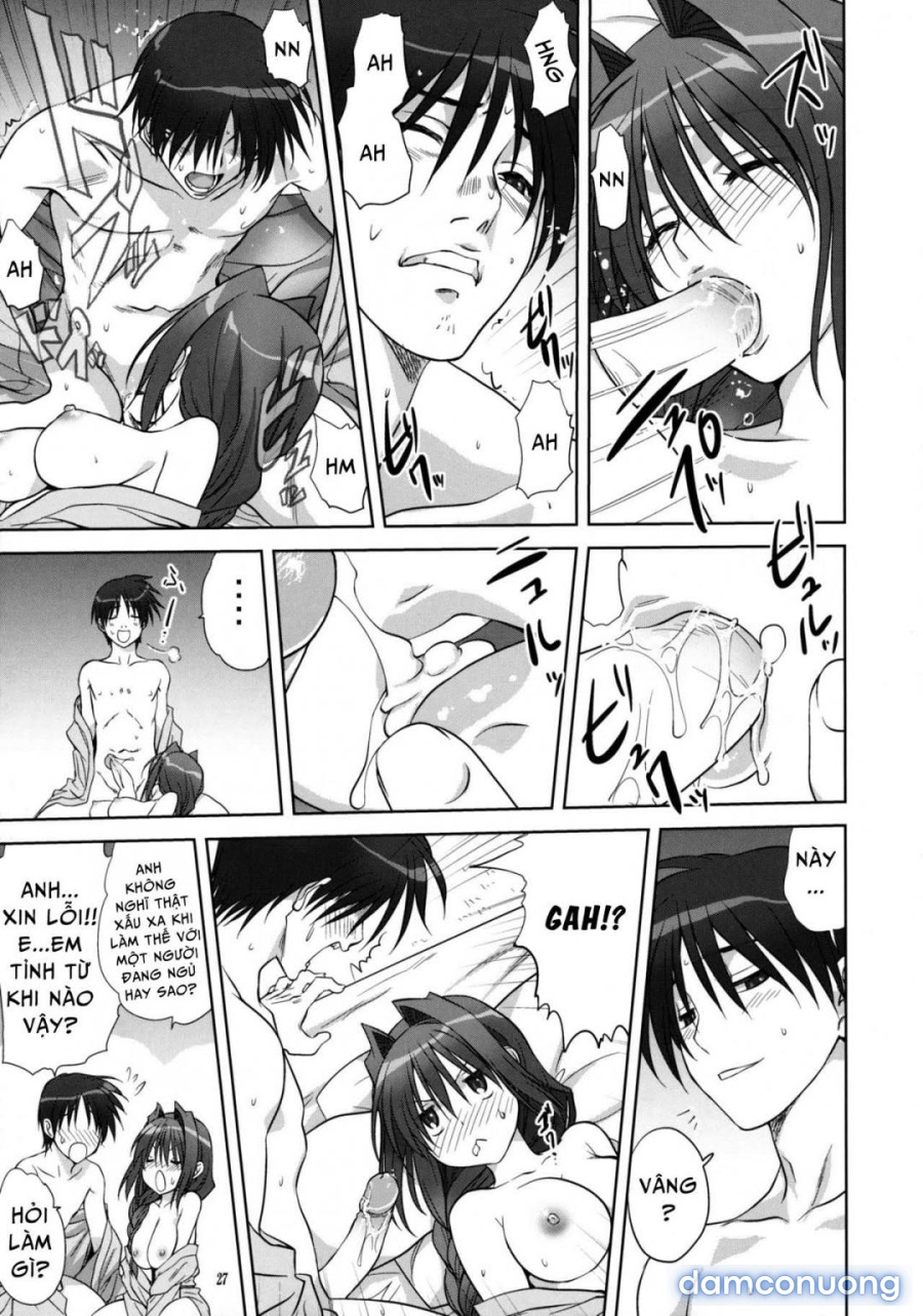 Sống cùng với Akiko-san 