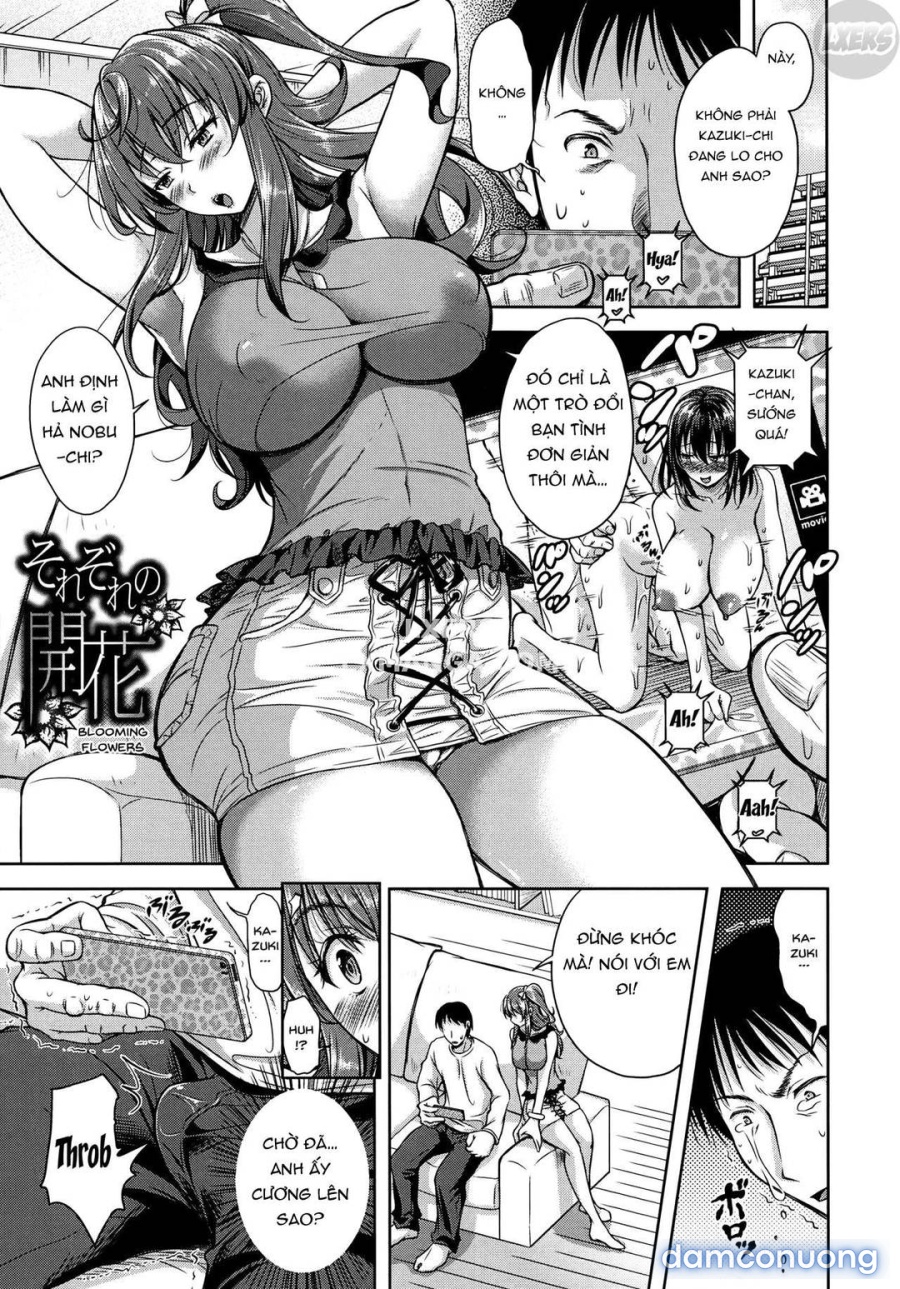 Yokumakezuma no Sukebegao 