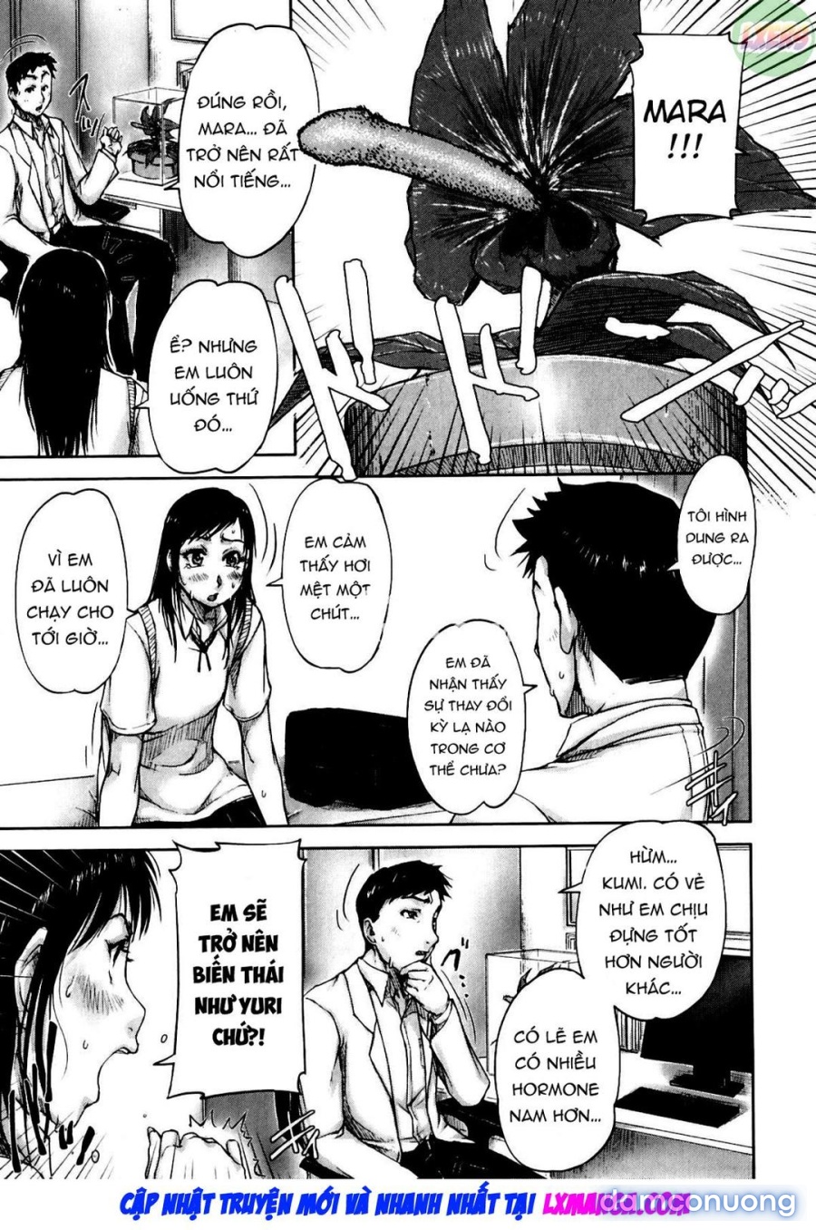 Seishokuki 