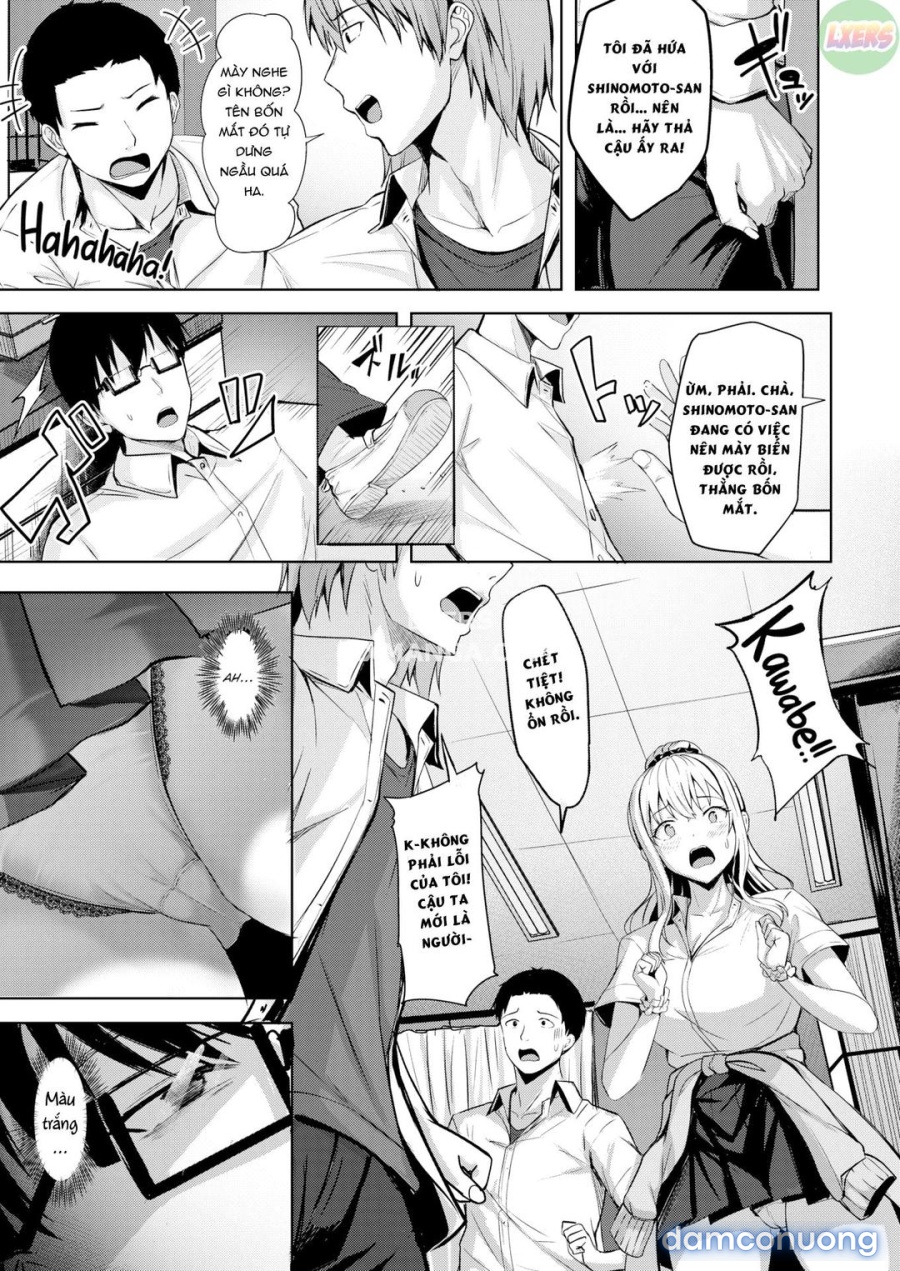 Shinomoto 37 độ 2 