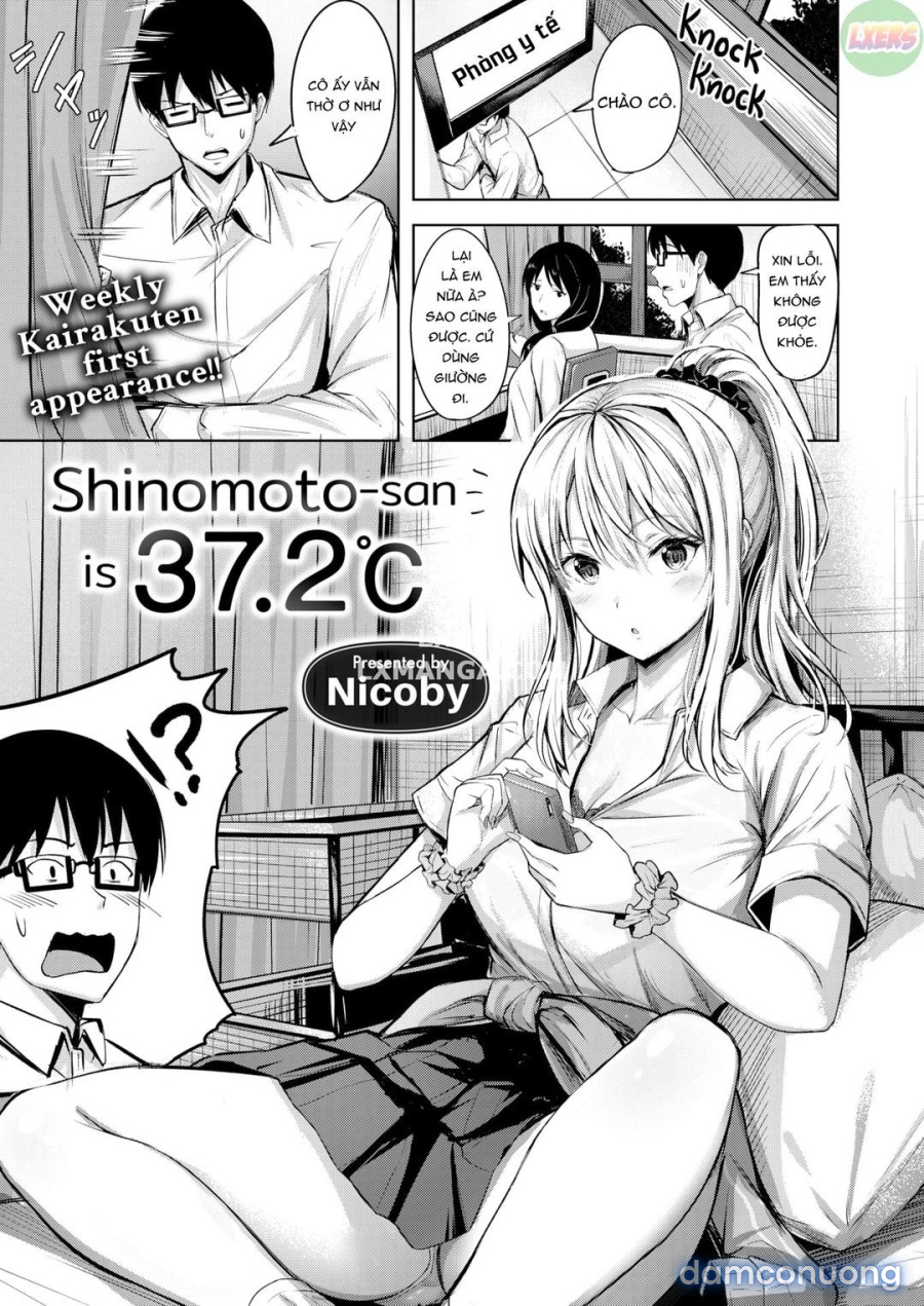 Shinomoto 37 độ 2 