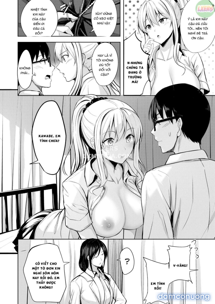 Shinomoto 37 độ 2 