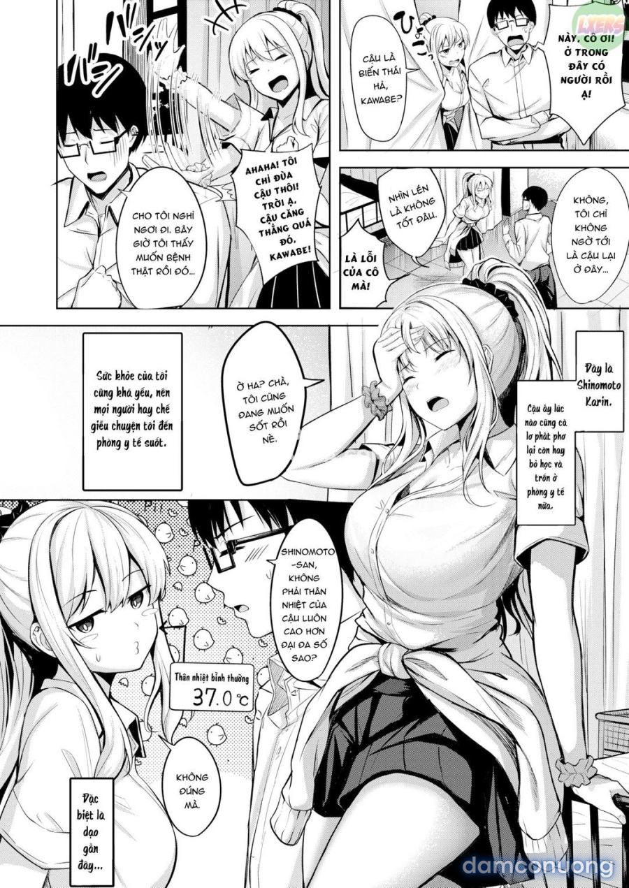Shinomoto 37 độ 2 