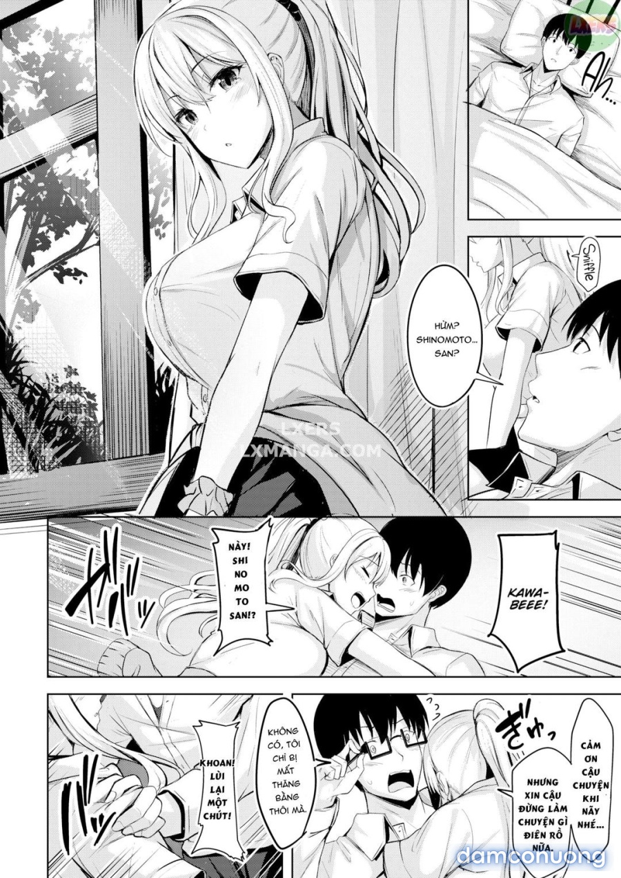 Shinomoto 37 độ 2 