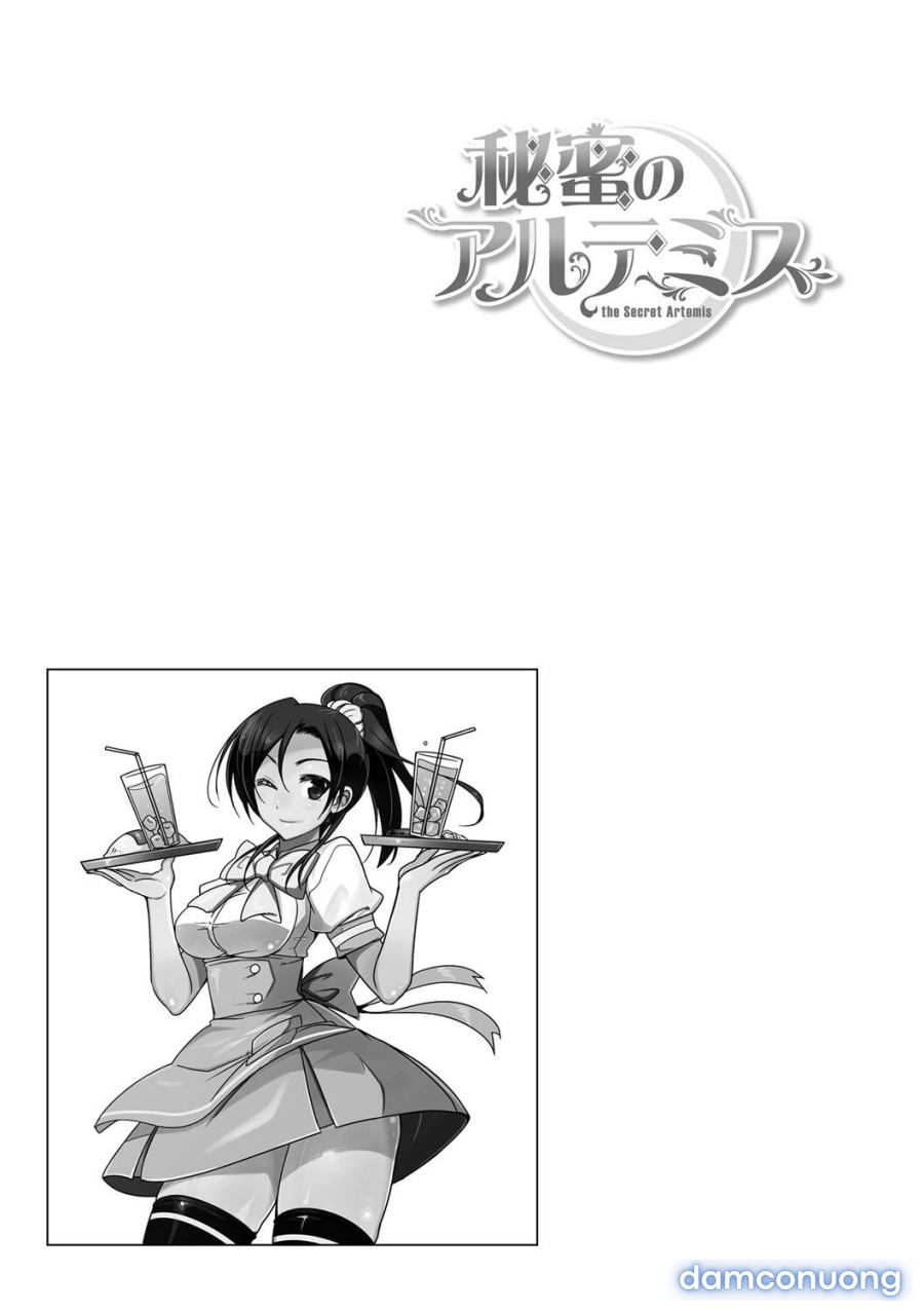 Himitsu no Artemis 