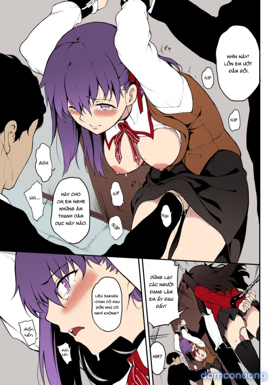 Chị Em Tohsaka Bị Khuất Phục 