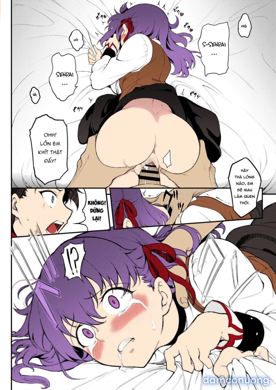 Chị Em Tohsaka Bị Khuất Phục 