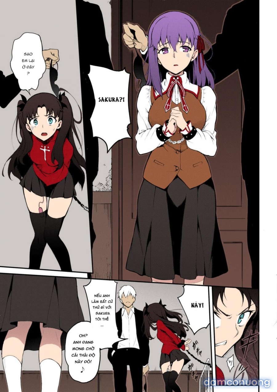 Chị Em Tohsaka Bị Khuất Phục 