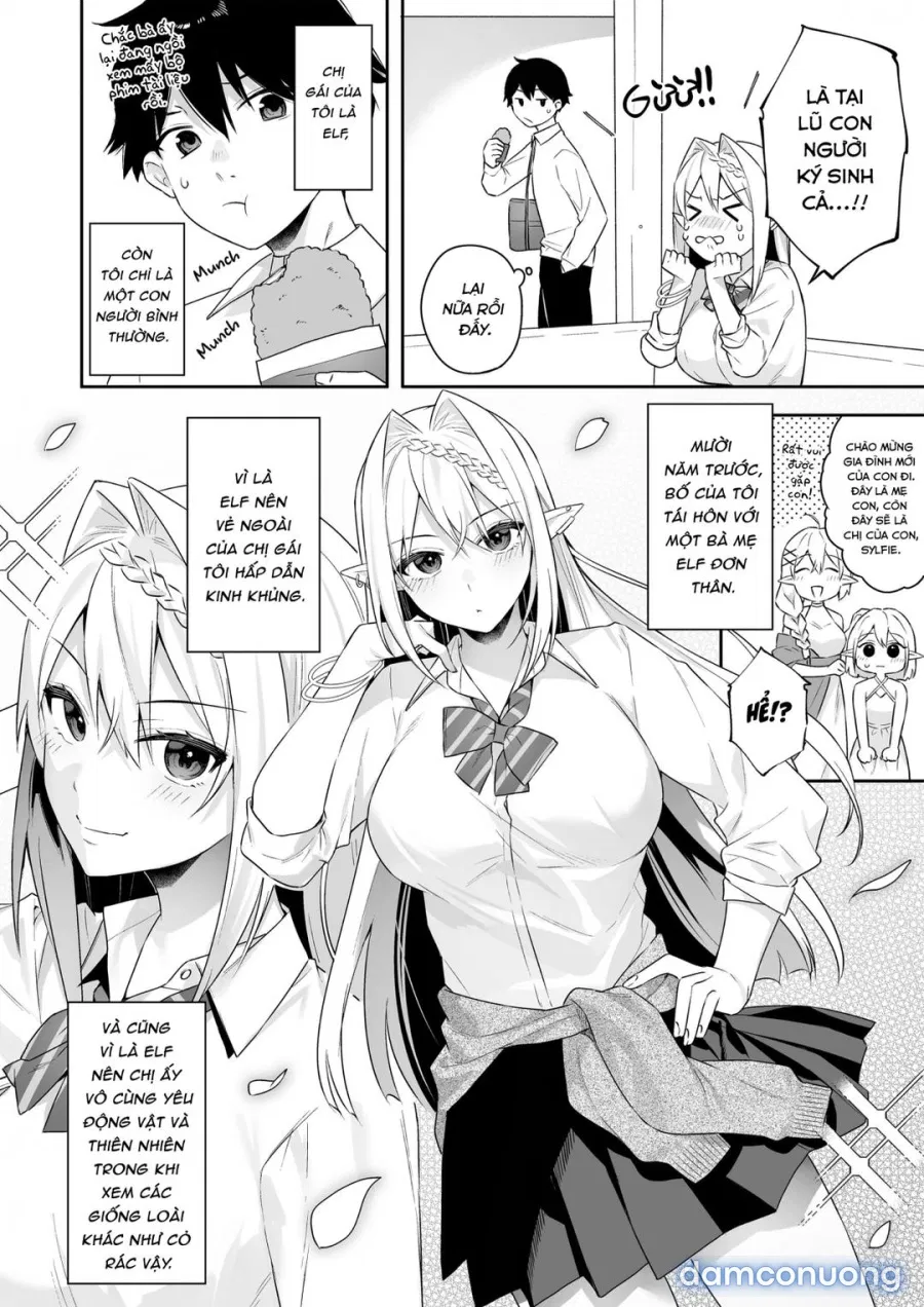 The Vegan Gyaru Elf Craves Meat 