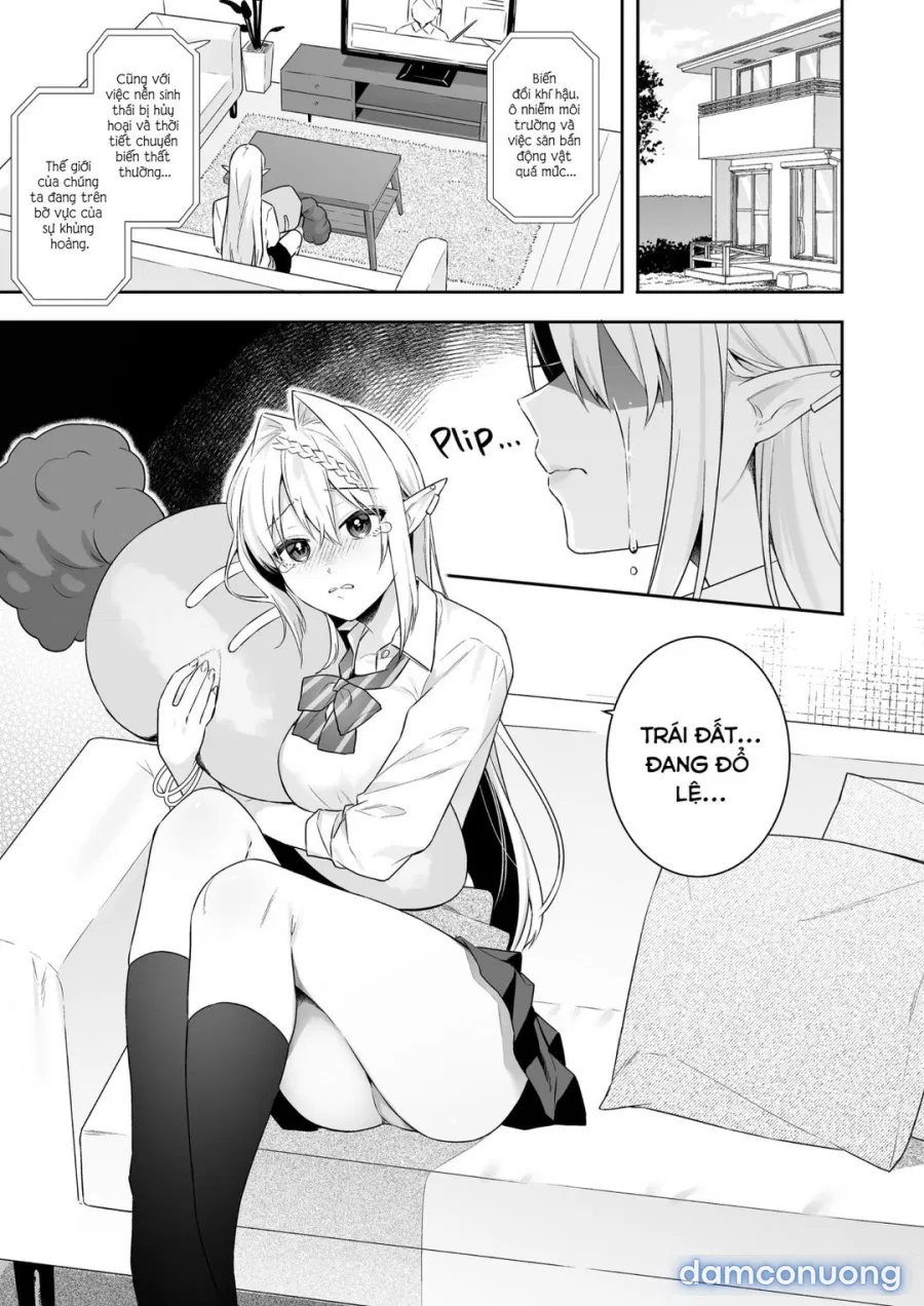 The Vegan Gyaru Elf Craves Meat 