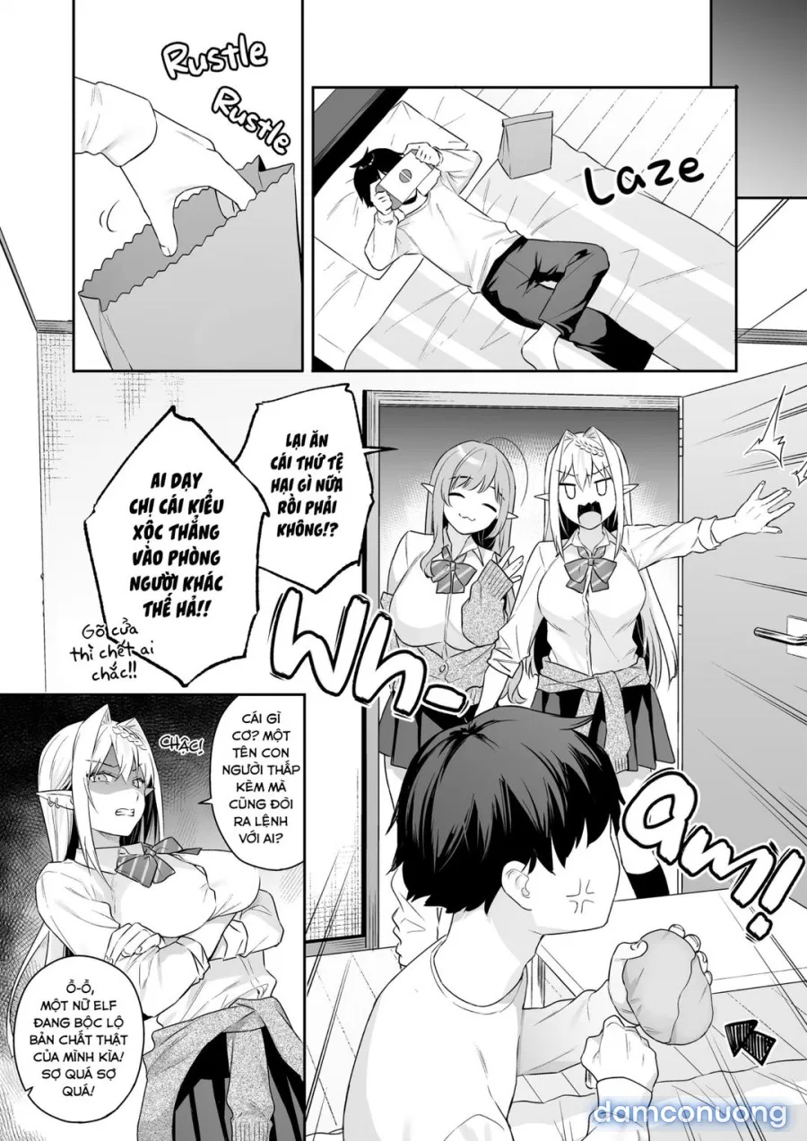 The Vegan Gyaru Elf Craves Meat 
