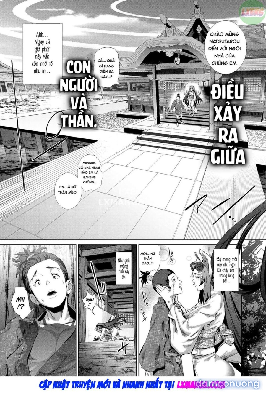 Chàng trai gặp gỡ miêu thần 