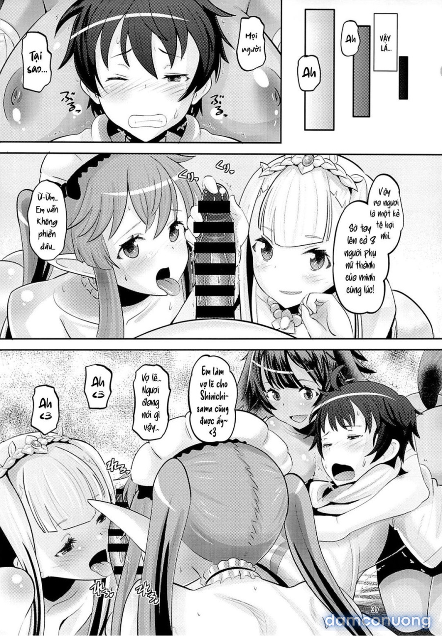 Harem Break Company 