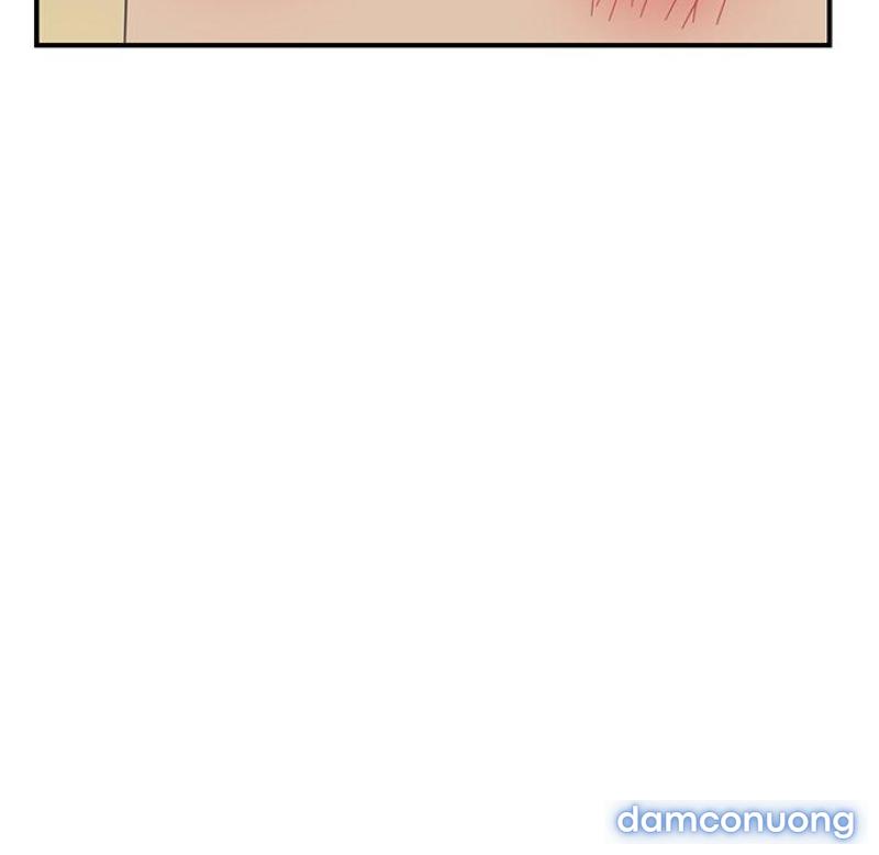 Bạn Cùng Phòng Bất Đắc Dĩ 