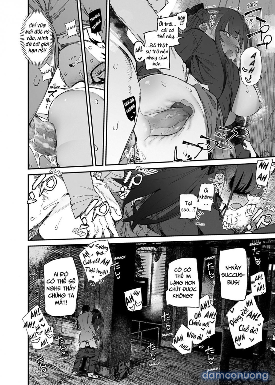 Seiso x Hanten 