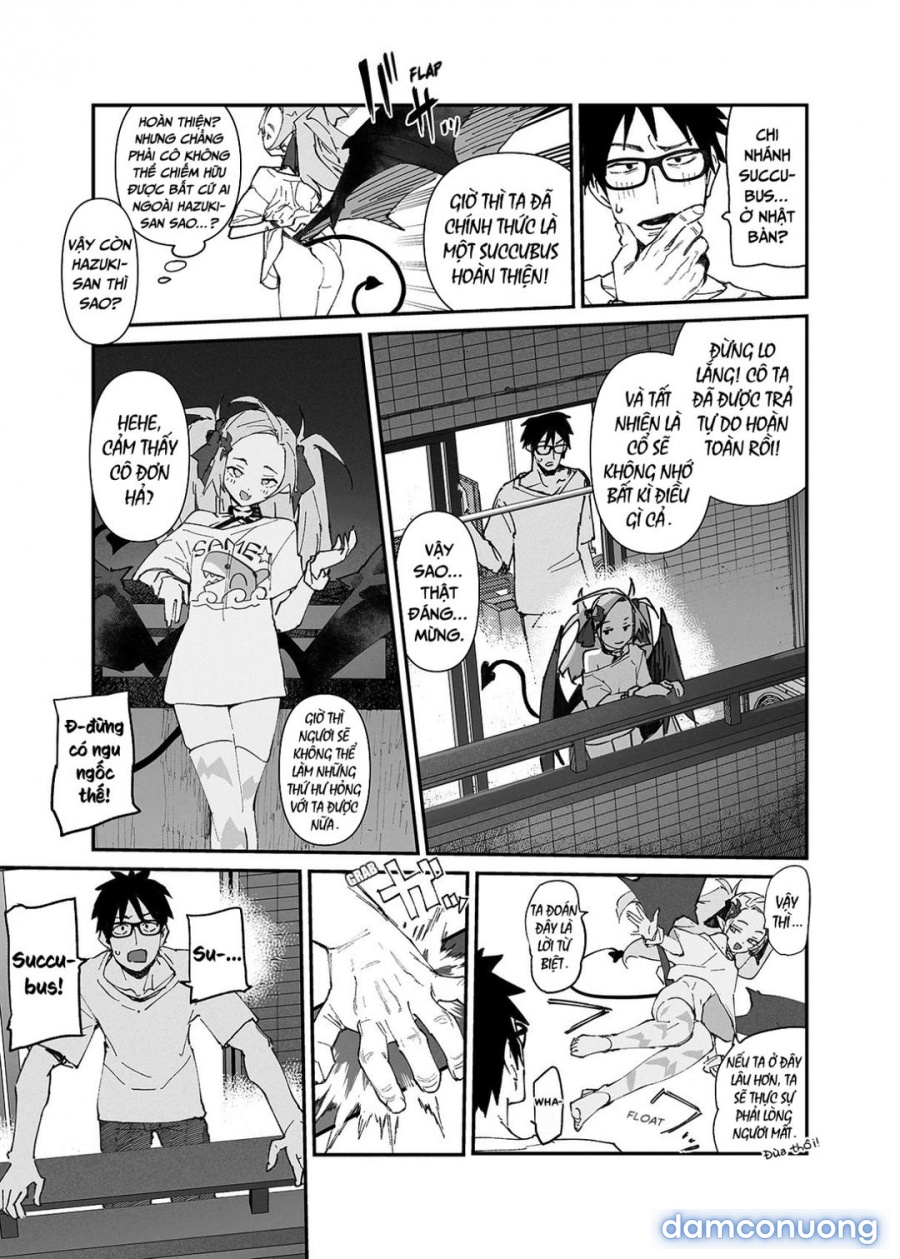 Seiso x Hanten 